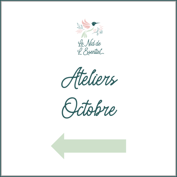 ATELIERS OCTOBRE 2023