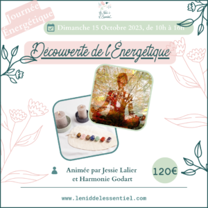15/10/2023 : Journée "Découverte de l'Énergétique" - Prix total : 120€