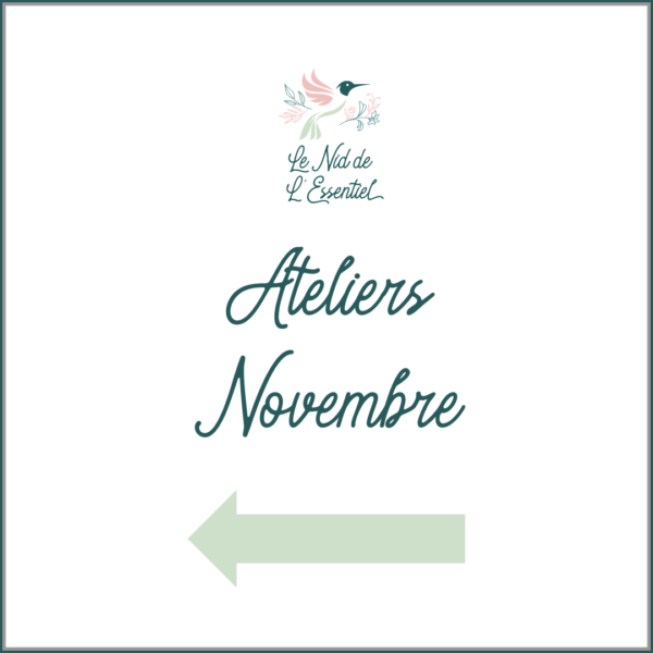 ATELIERS NOVEMBRE 2023