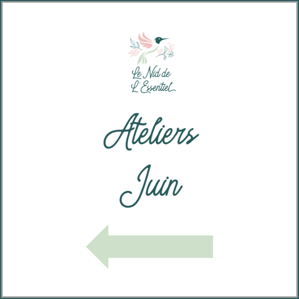 atelier le nid de l'essentiel gembloux juin 2024